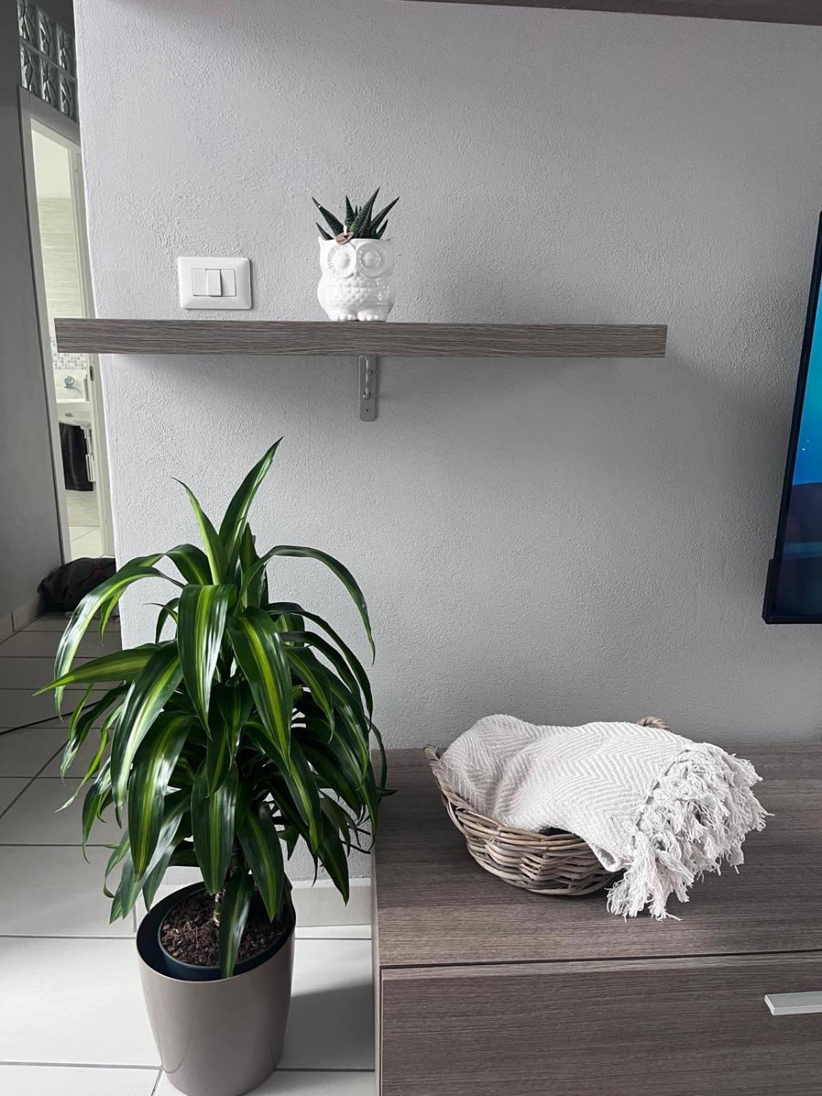 Casa Castagna Appartamento - לקו מראה חיצוני תמונה